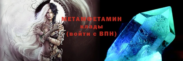 гидра Арсеньев