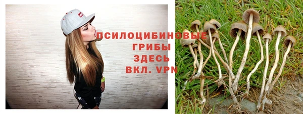 гидра Арсеньев