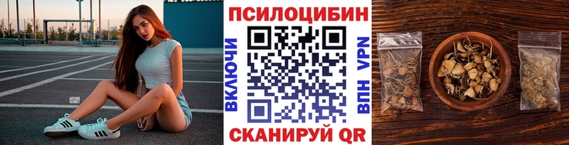 это клад  Печоры  Псилоцибиновые грибы Psilocybine cubensis 
